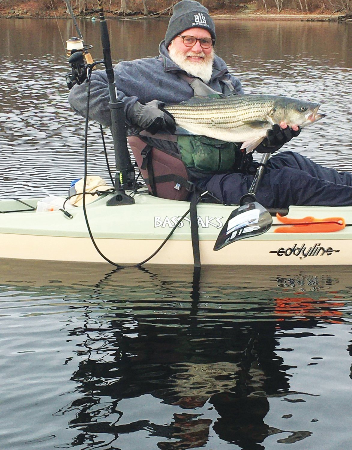 STRIPED BASS: Warming water has allowed fishing writer Todd Corayer to catch striped bass throughout the past three winters in Rhode Island’s salt ponds. (Submitted photos)